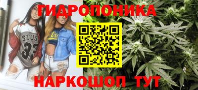 PSILOCYBIN Гусев