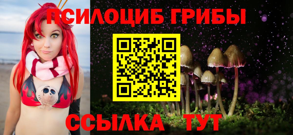 Мирный  Галлюциногенные грибы мицелий  Вход с VPN 
